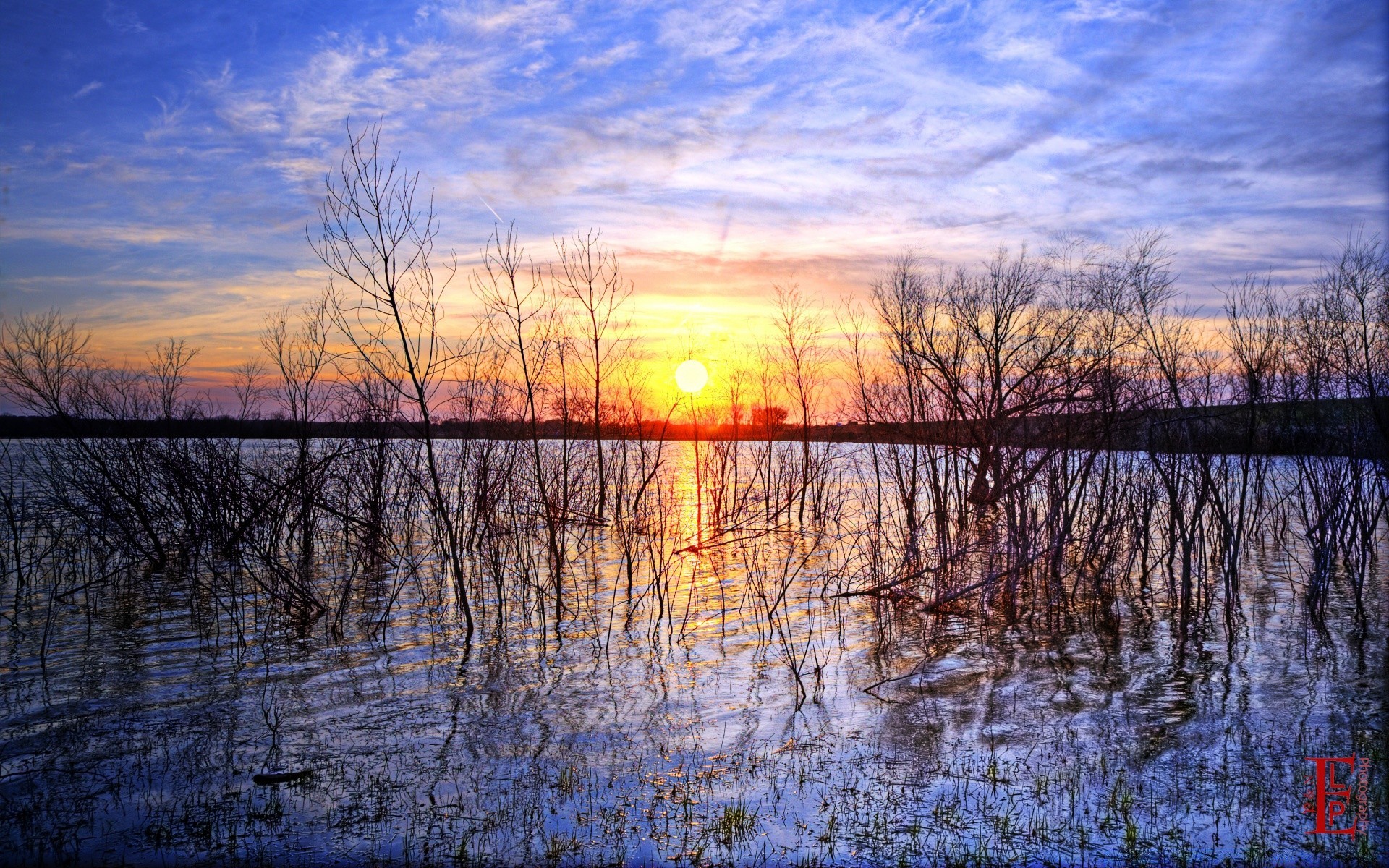 ameryka świt odbicie zachód słońca woda krajobraz natura wieczorem jezioro drewno rzeka drzewo na zewnątrz niebo światło spokój zmierzch jesień dobra pogoda pogoda