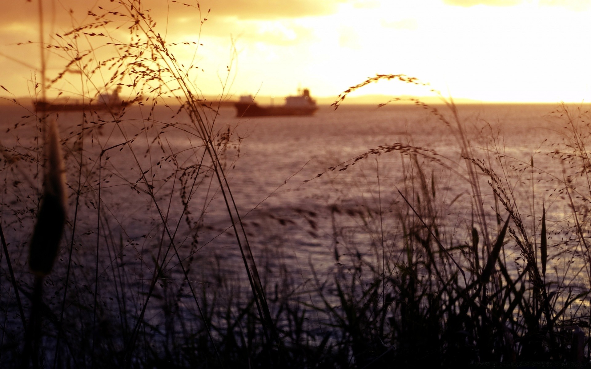 america sunset dawn landscape nature sun tree sky light evening silhouette weather dusk fog reflection gold fair weather wood outdoors lake field