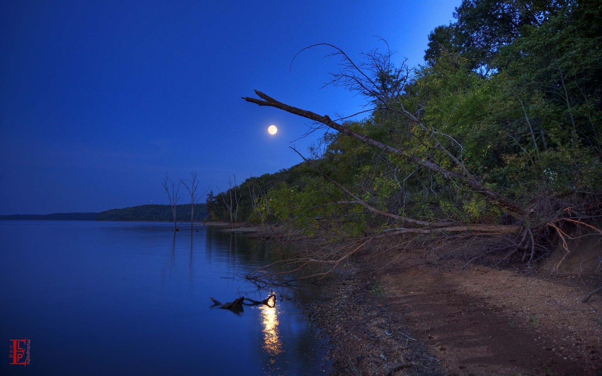 amerika wasser landschaft baum abend see fluss im freien reisen reflexion natur himmel meer holz dämmerung sonnenuntergang