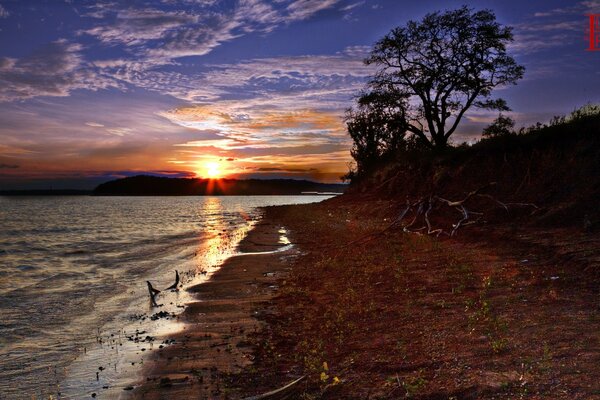 Puesta de sol en la orilla del estanque