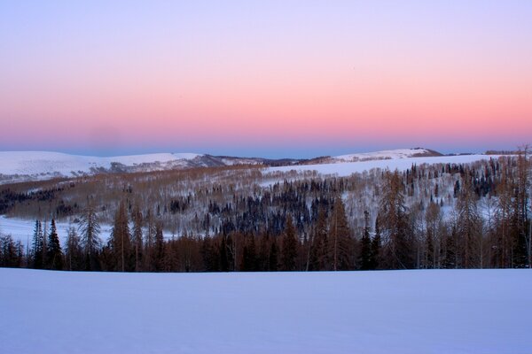 The beauty and tenderness of the winter dawn