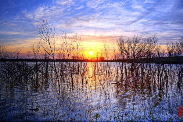 Marais lac beau