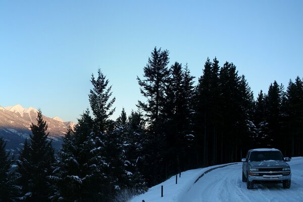 Winter road. Snow-covered forest