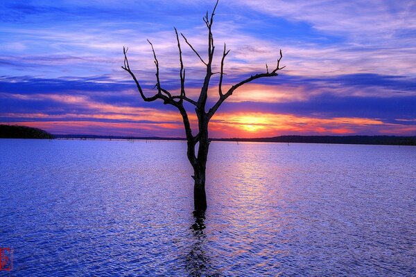 Reflexão do pôr do sol nas águas da América