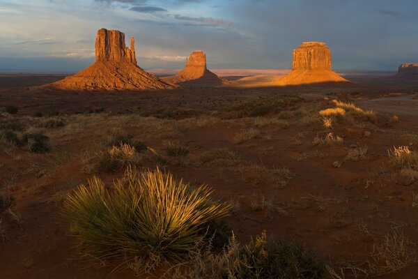 Los maravillosos edificios del desierto americano