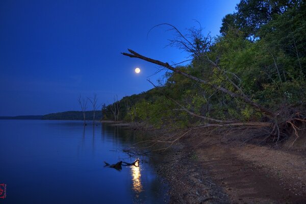 Night on the river bank. Reflection of the Moon in the water