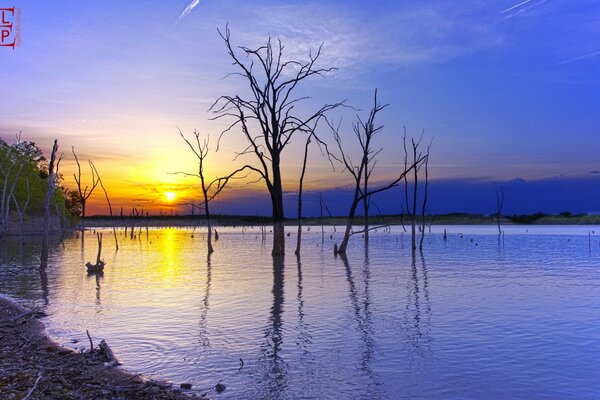 Schöner Sonnenuntergang in der Natur am Wasser