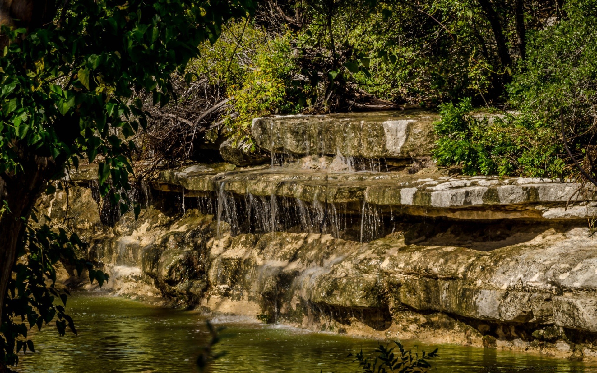 amérique eau rivière nature voyage bois flux à l extérieur bois pierre paysage rock cascade feuille parc scénique été tropical tourisme flux