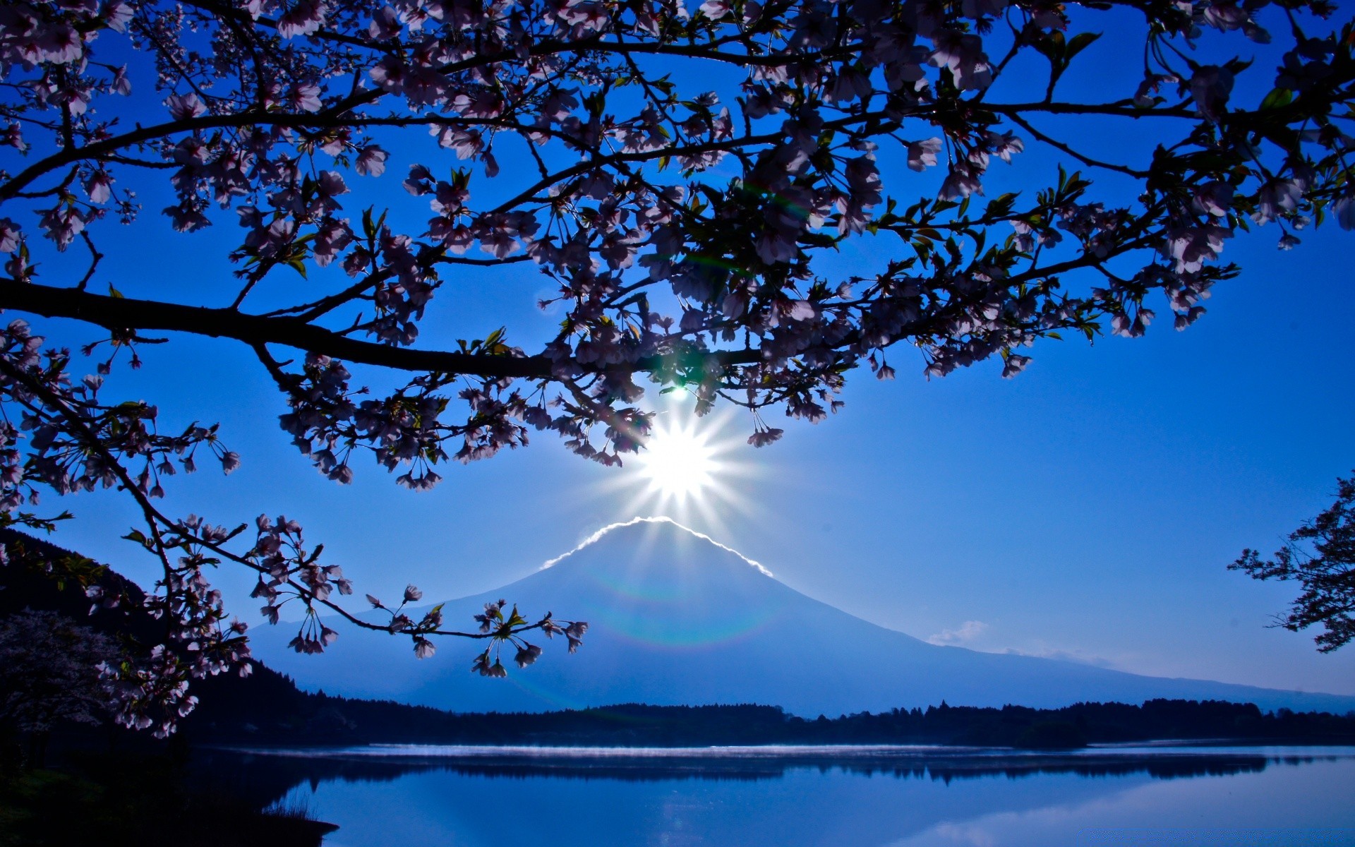 asien baum landschaft himmel natur morgendämmerung wasser see im freien abend sonne