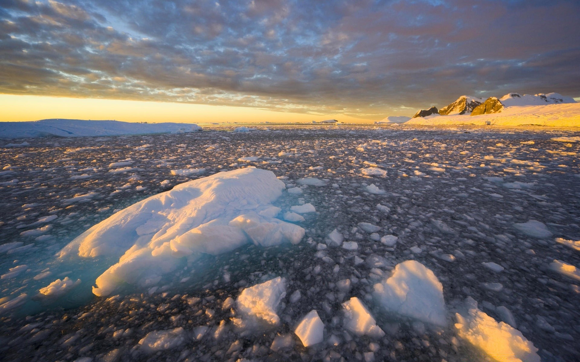 Южный океан природа. Южный Ледовитый океан. Арктический пейзаж. Антарктида. Льды Северного Ледовитого океана.