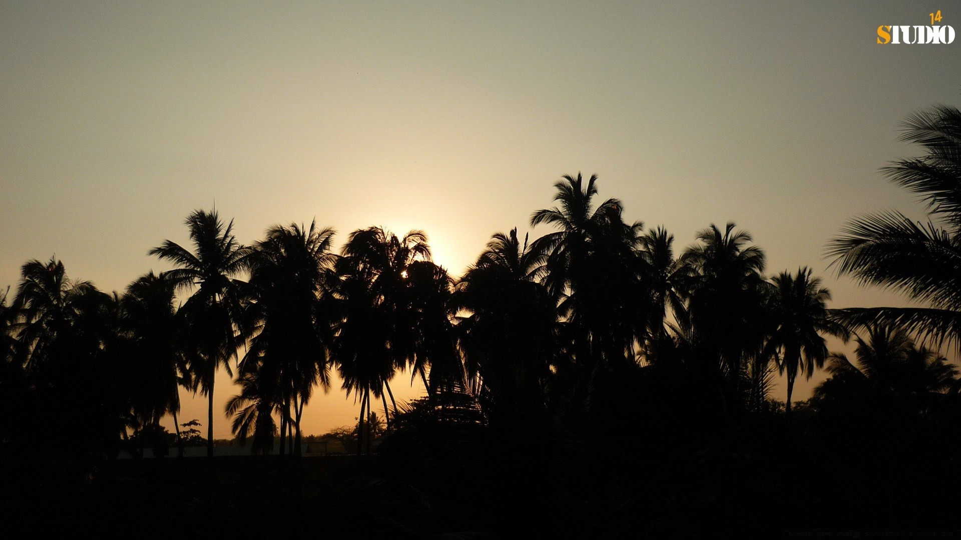 américa praia pôr do sol palma árvore luz de fundo sol silhueta mar tropical ilha amanhecer noite coco bom tempo paisagem oceano viajar areia