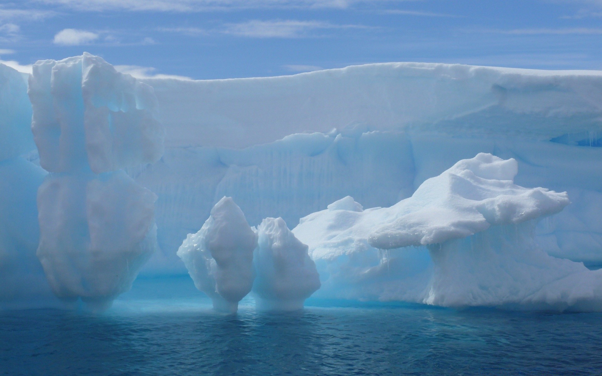 antarctique iceberg glace fusion givré natation neige eau glacier changement climatique froid hiver groenland réchauffement climatique nature à l extérieur congelé antarctique mer gel