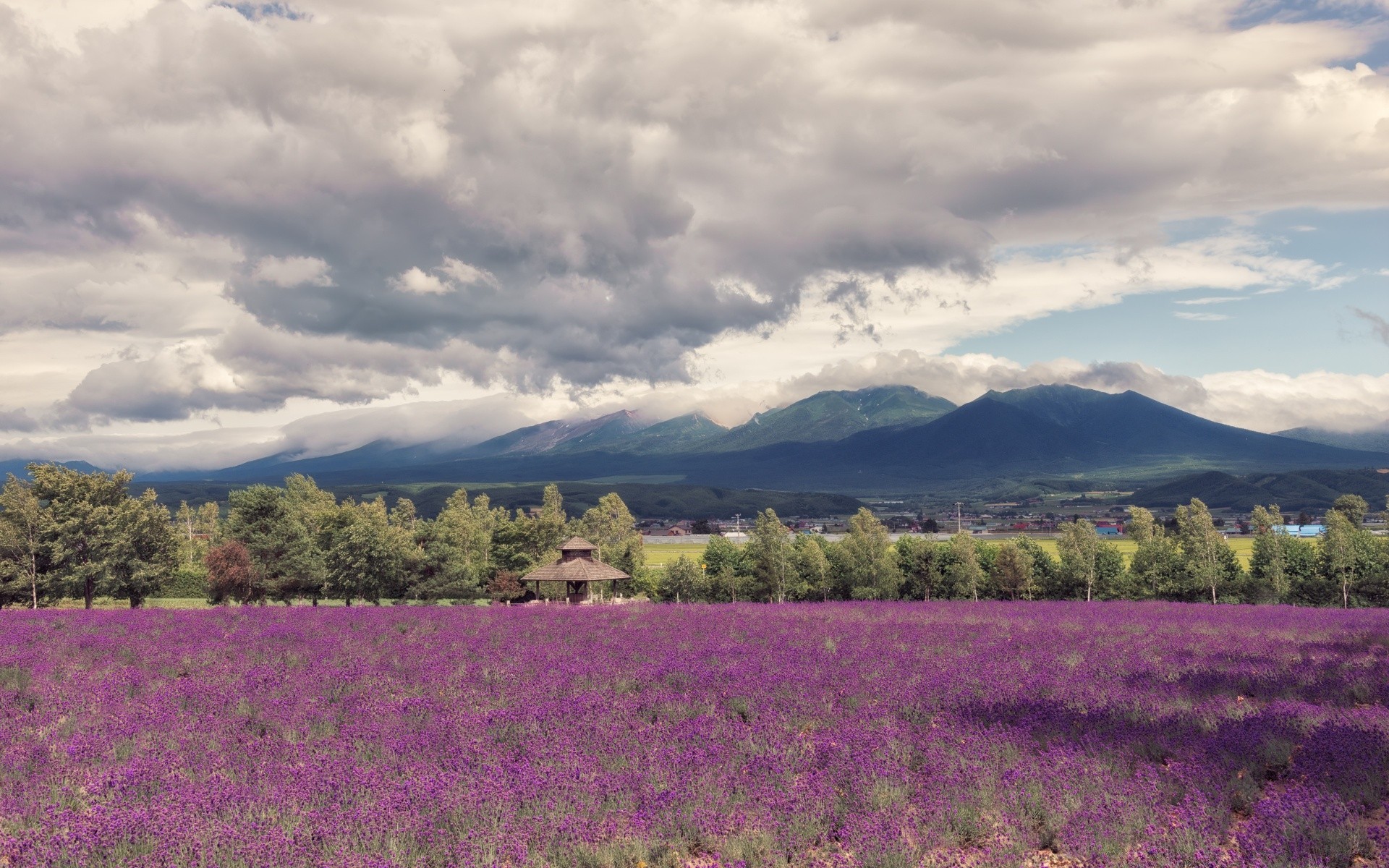 asien landschaft natur blume im freien himmel feld sommer landschaftlich landschaftlich reisen landwirtschaft baum des ländlichen flora heuhaufen lavendel bauernhof sonnenuntergang