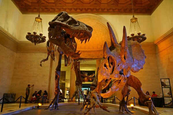 Two dinosaur sculptures in the museum