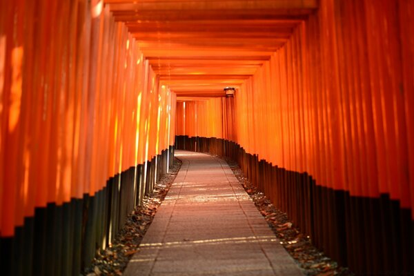 The trail in the tunnel of the red and black curtain