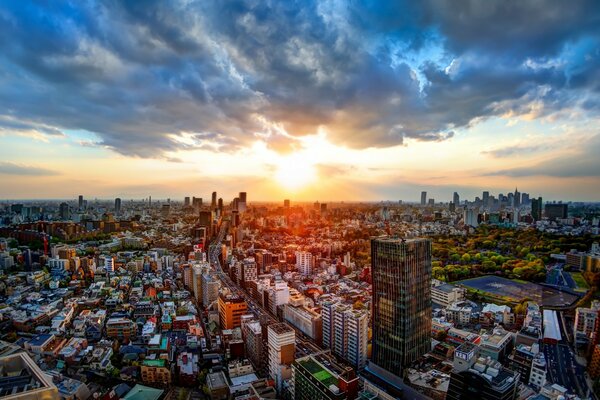 Paisaje urbano a vista de pájaro