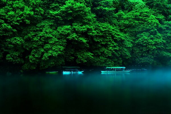 Boats on the lake against the background of lush green vegetation