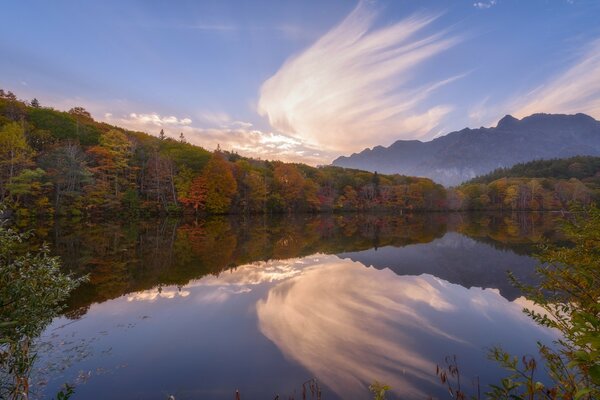 森林河岸之间的山河