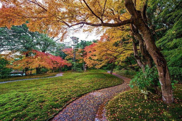 Schöne Parklandschaft im Herbst