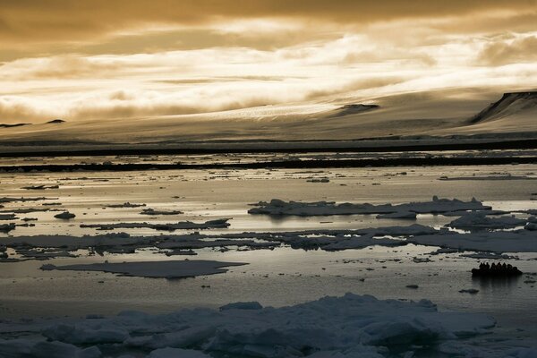 Océan Arctique