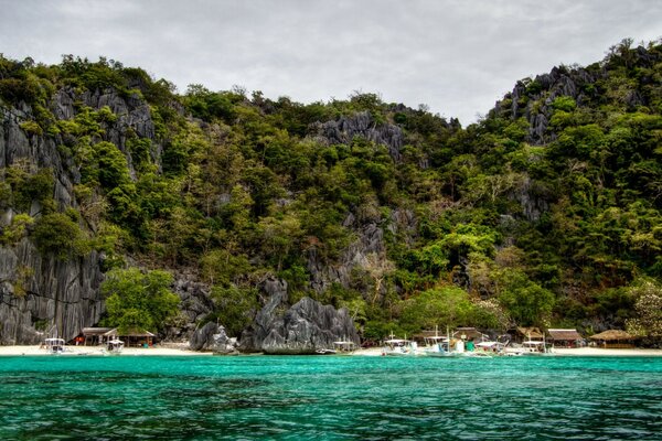 Rocky shore covered with trees