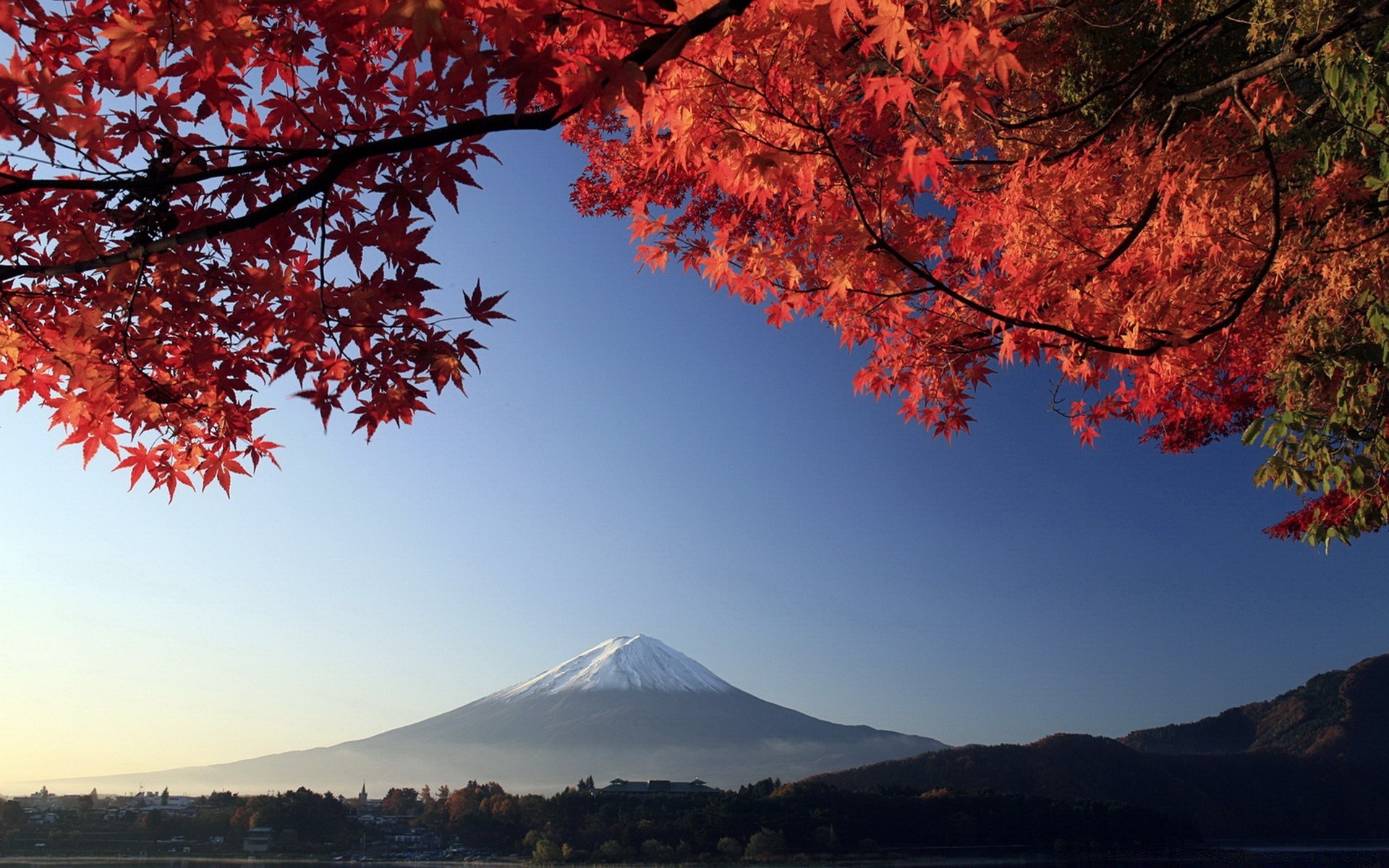 asia otoño árbol hoja arce paisaje al aire libre naturaleza madera temporada montañas