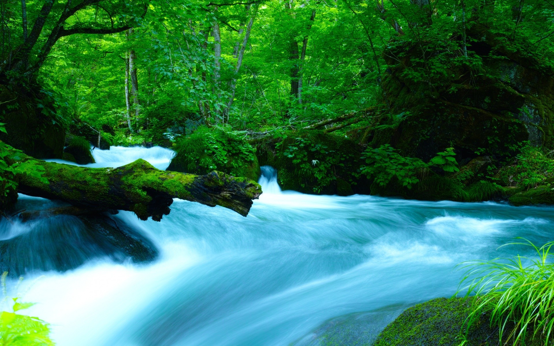 asia water waterfall wood nature river landscape leaf outdoors stream tree moss purity travel rock rainforest cascade motion lush environment