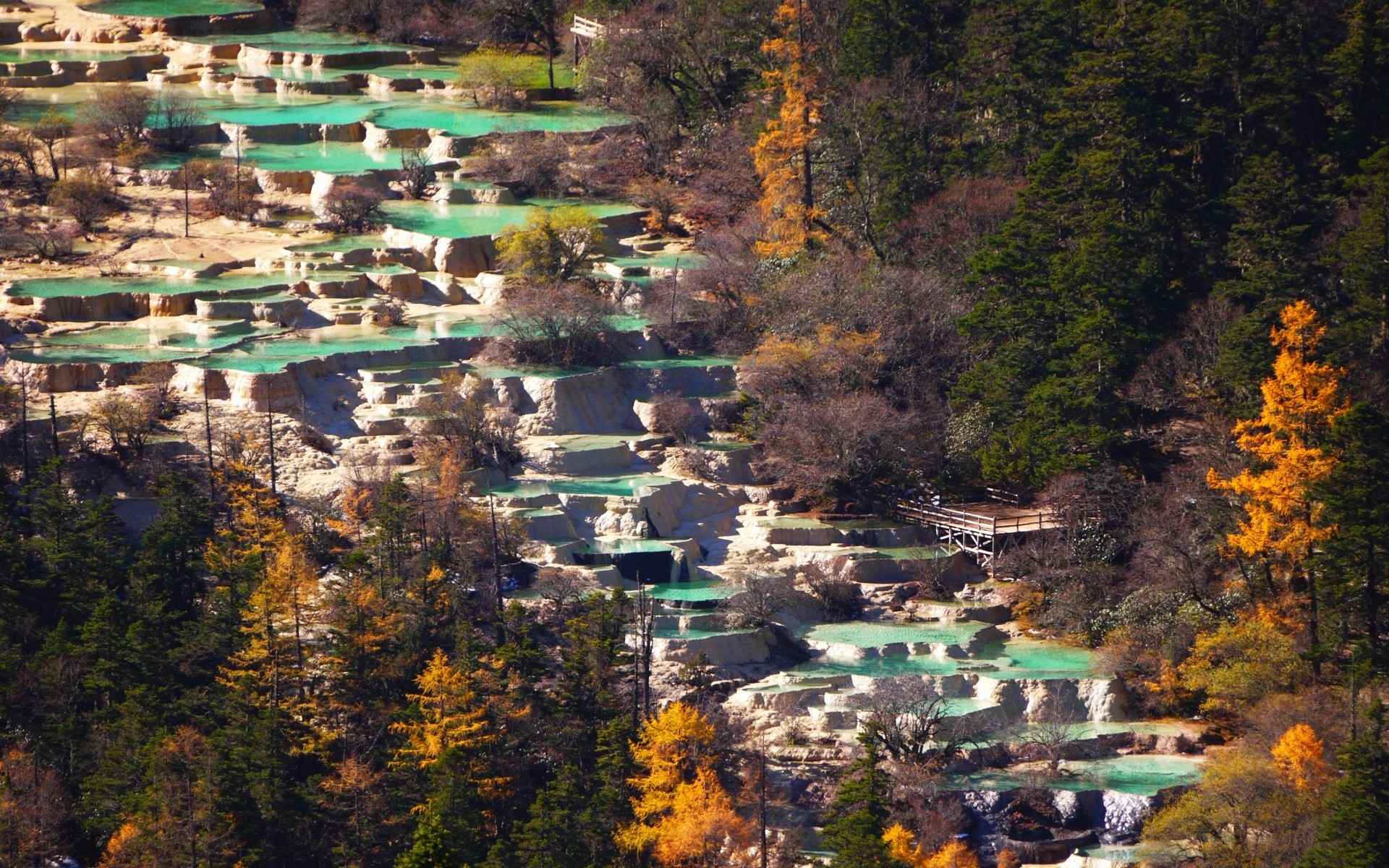 asie voyage bois en plein air automne eau paysage bois ville nature scénique architecture