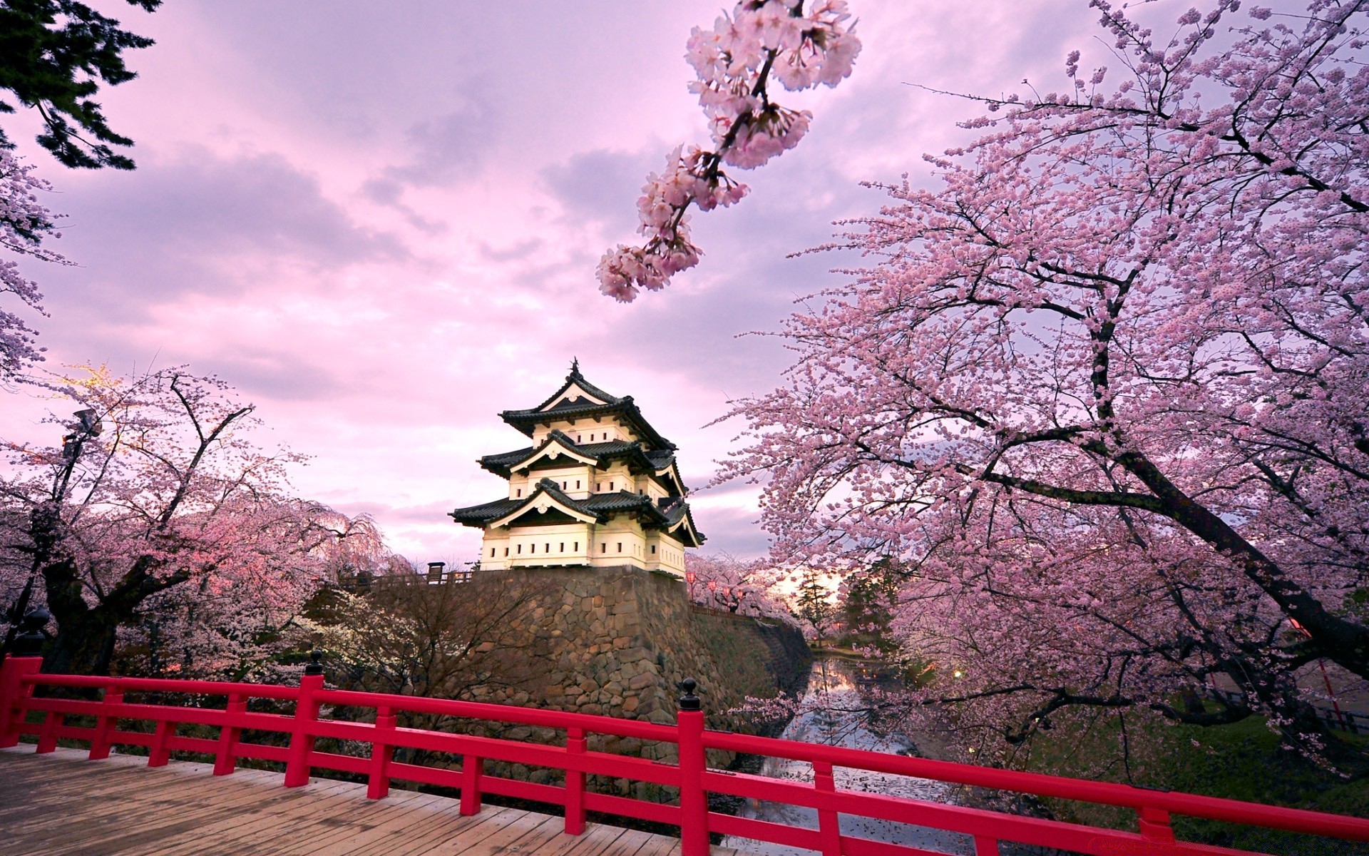 asia tree park garden travel architecture landscape outdoors flower shinto sky traditional cherry culture beautiful temple nature tourism season zen