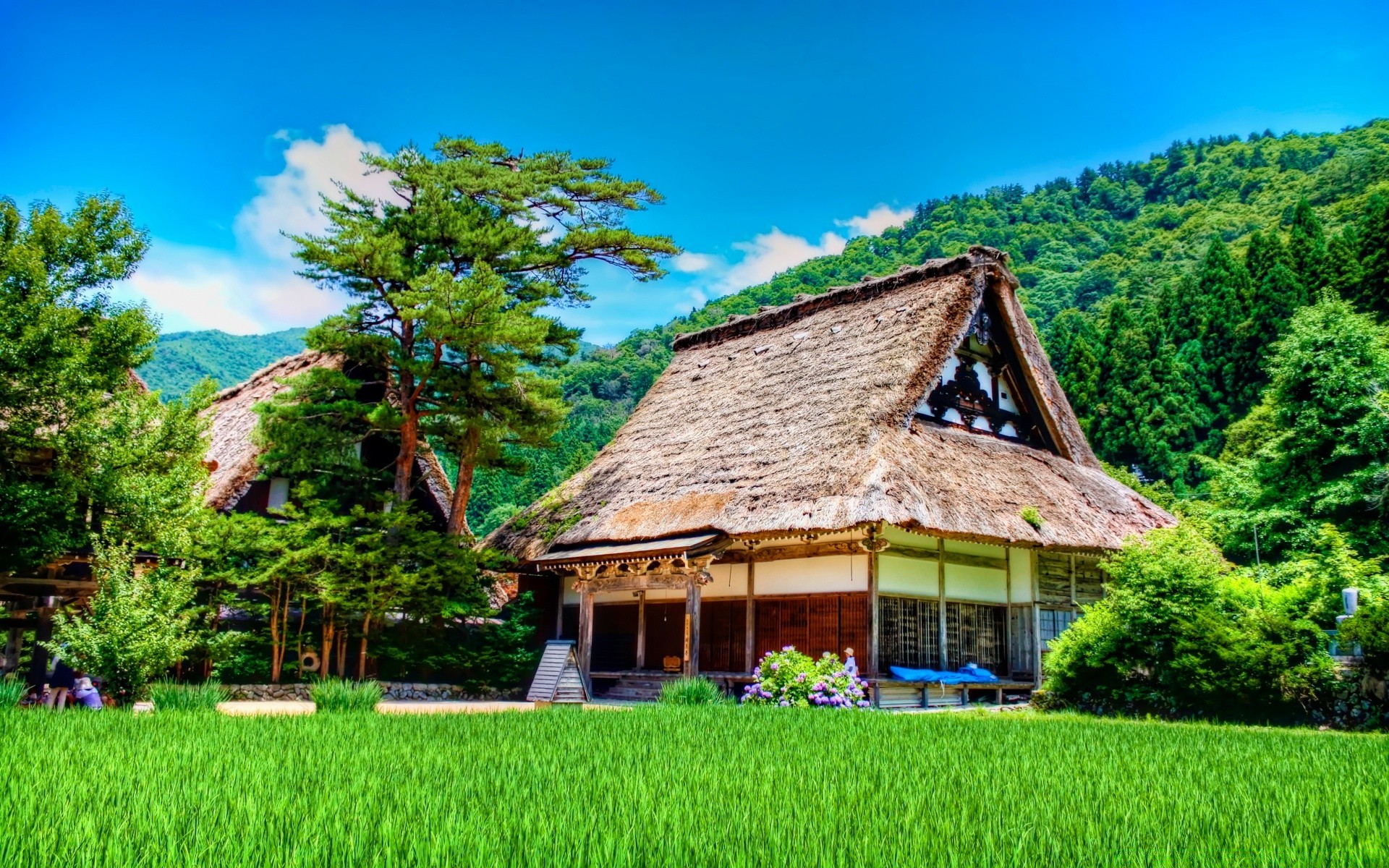 asia madera casa árbol naturaleza verano viajes hierba al aire libre paisaje casa rural tradicional madera cielo familia jardín cabaña granja país