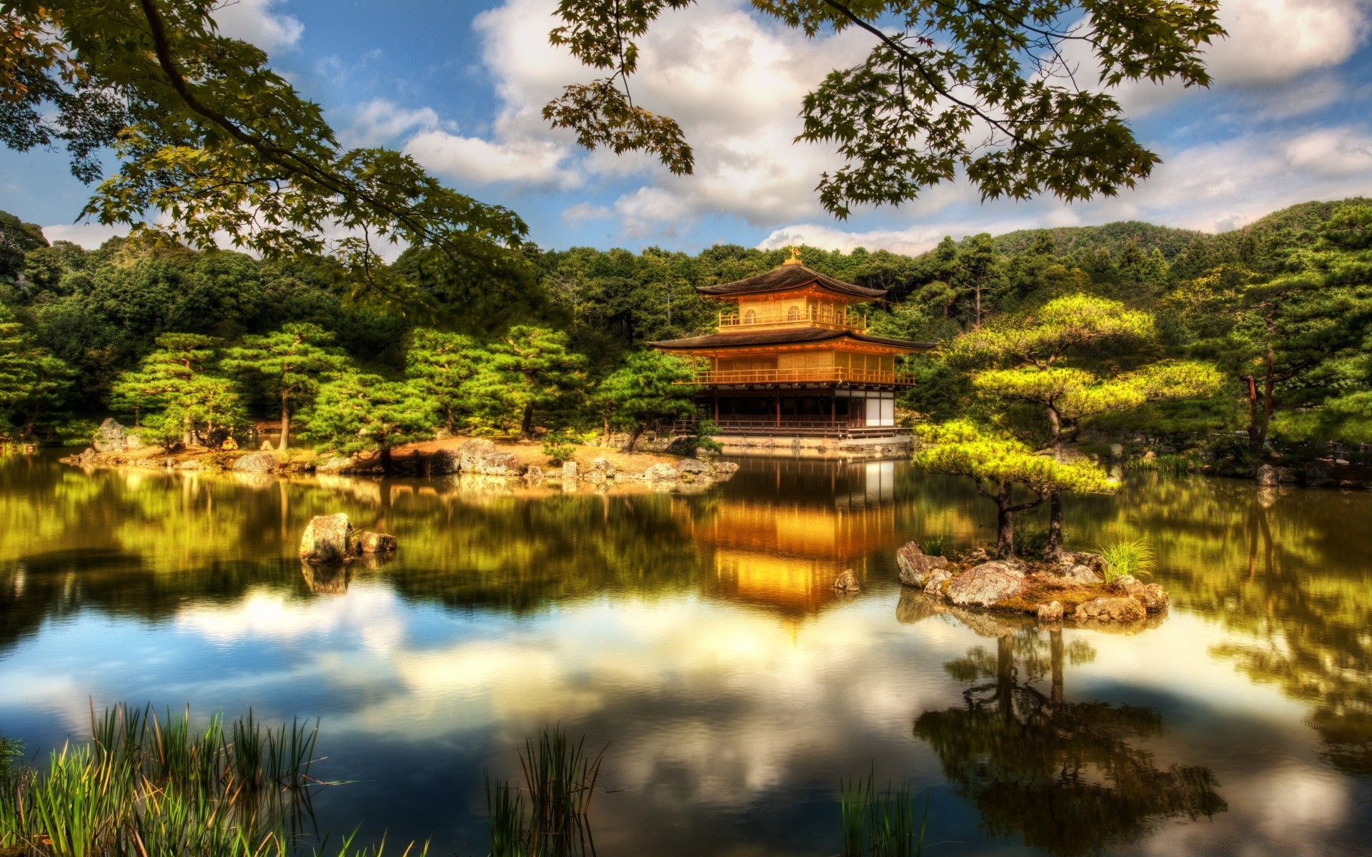 asia water nature reflection lake wood tree pool river travel landscape outdoors sky summer beautiful park grass composure dawn