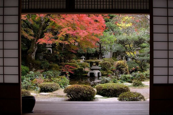 Blick auf den grünen asiatischen Garten