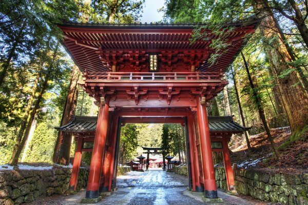 Elegant entrance to the forest park