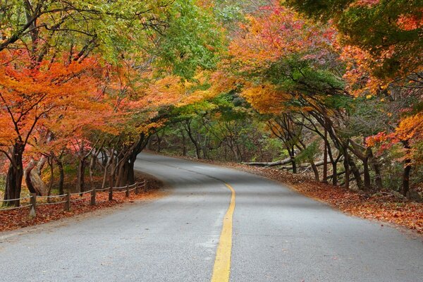 Nezhansan National Park