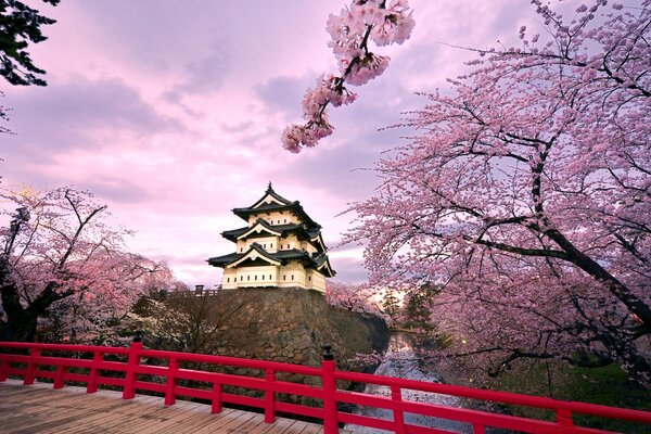 Pagode japonaise dans les arbres roses