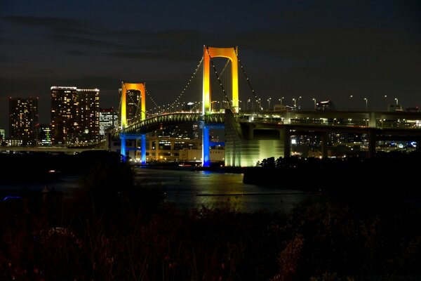 Bright illumination of the bridge at night