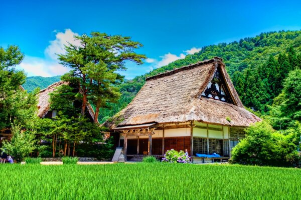 Maisons dans les contreforts entourées de bois