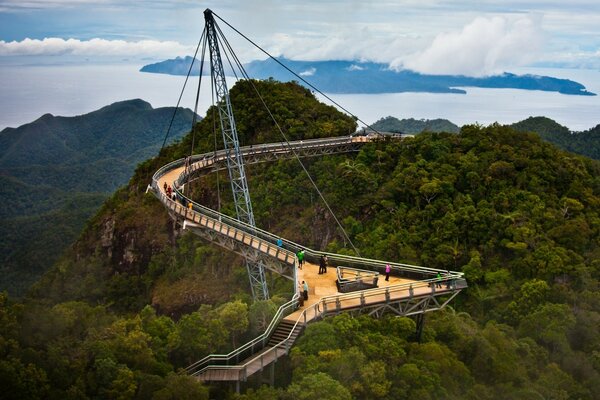 Suspension bridge. Observation deck. Green tree crowns