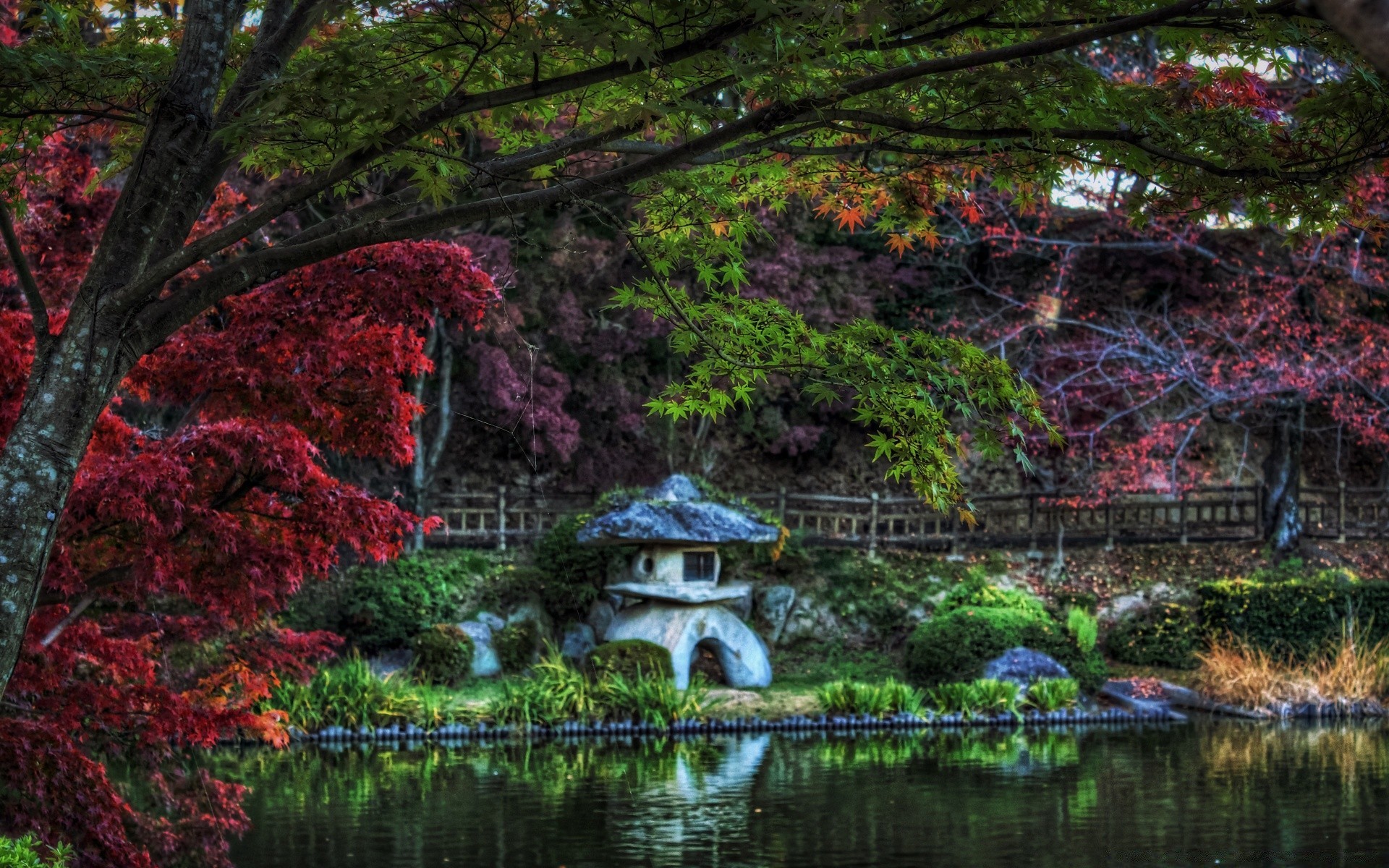 亚洲 秋天 叶子 自然 树 水 木头 室外 公园 季节 景观 河 植物群