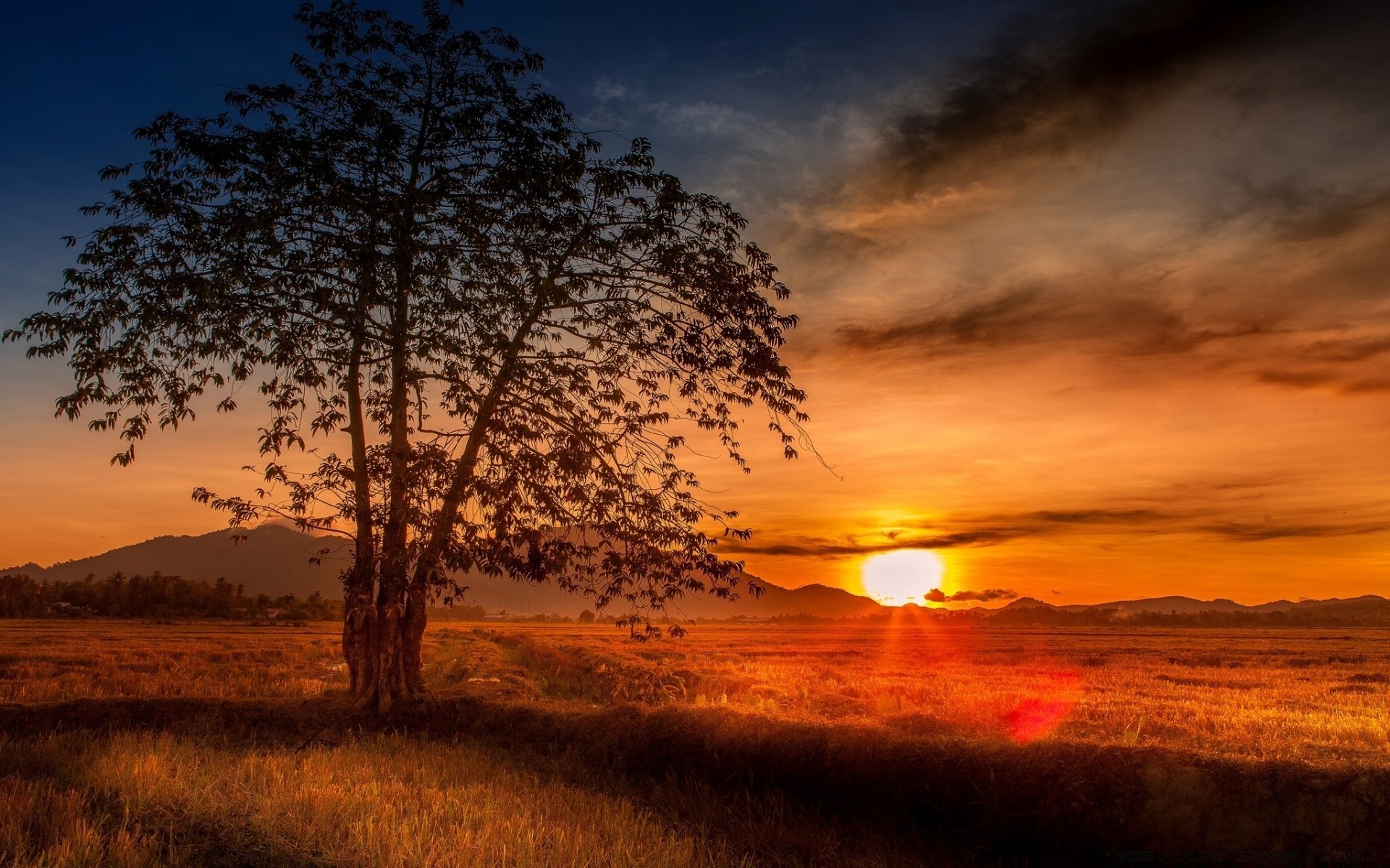 asien sonnenuntergang dämmerung landschaft sonne himmel natur abend dämmerung baum gutes wetter licht wolke hintergrundbeleuchtung sommer