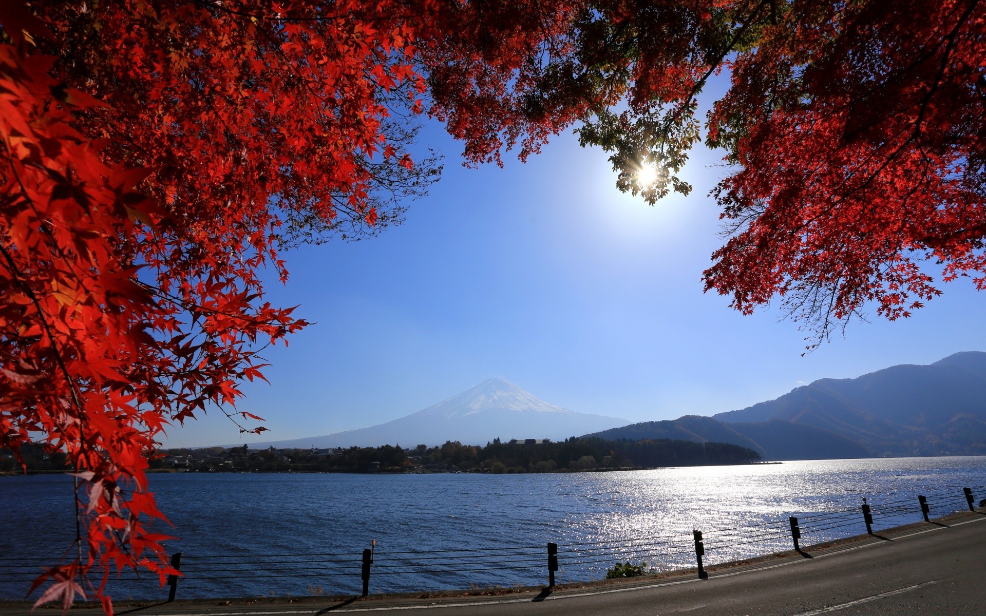 亚洲 树 秋天 风景 自然 叶子 木头 水 室外 湖 季节 风景 黎明 枫树 旅行 天空