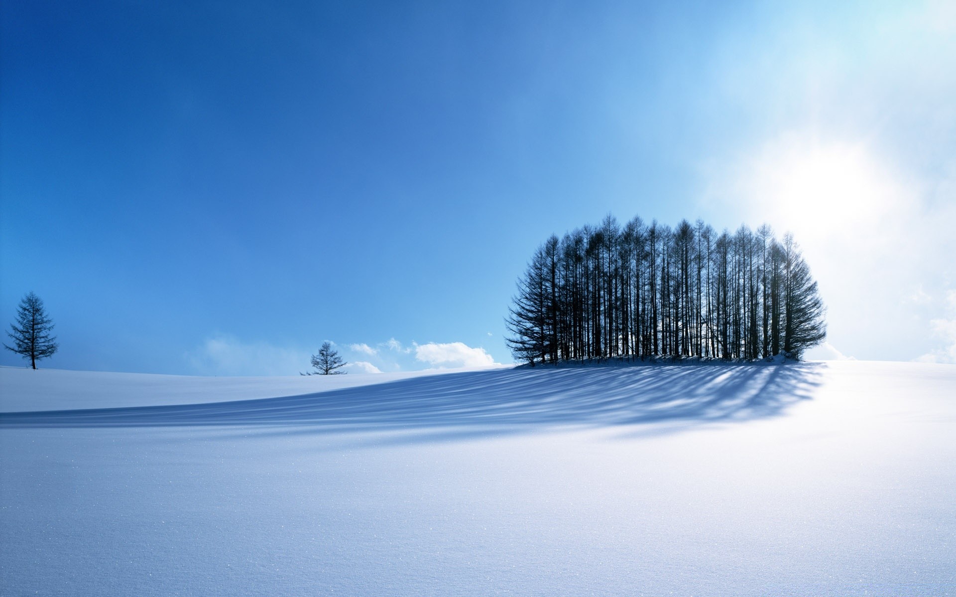 asie neige hiver froid arbre nature gel paysage à l extérieur ciel glace bois météo congelé beau temps