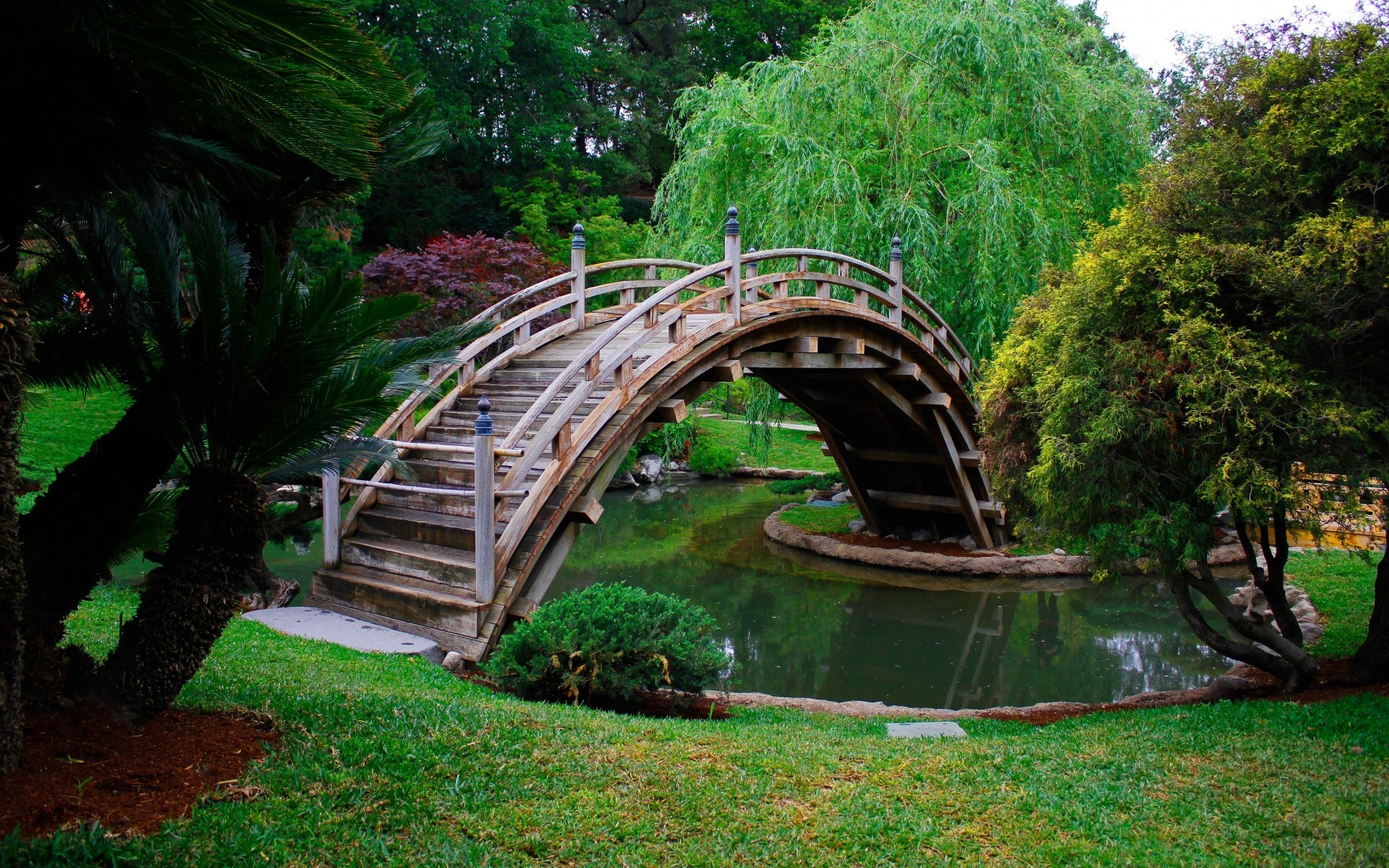 asia wood tree garden park nature water bridge outdoors leaf summer travel grass wooden landscape beautiful flora