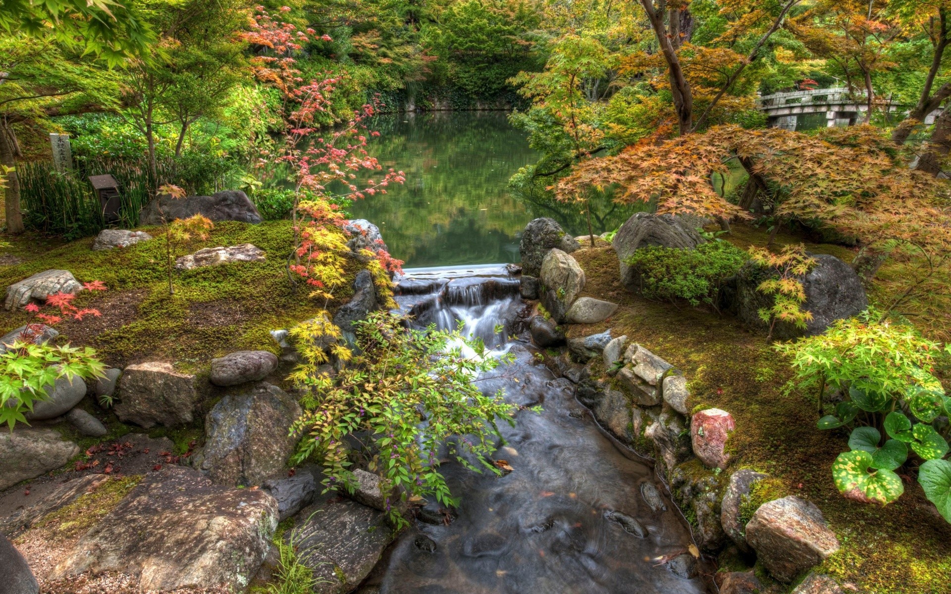 asia acqua natura pietra flusso foglia fiume roccia autunno legno paesaggio albero parco esterno giardino cascata viaggi estate creek flusso