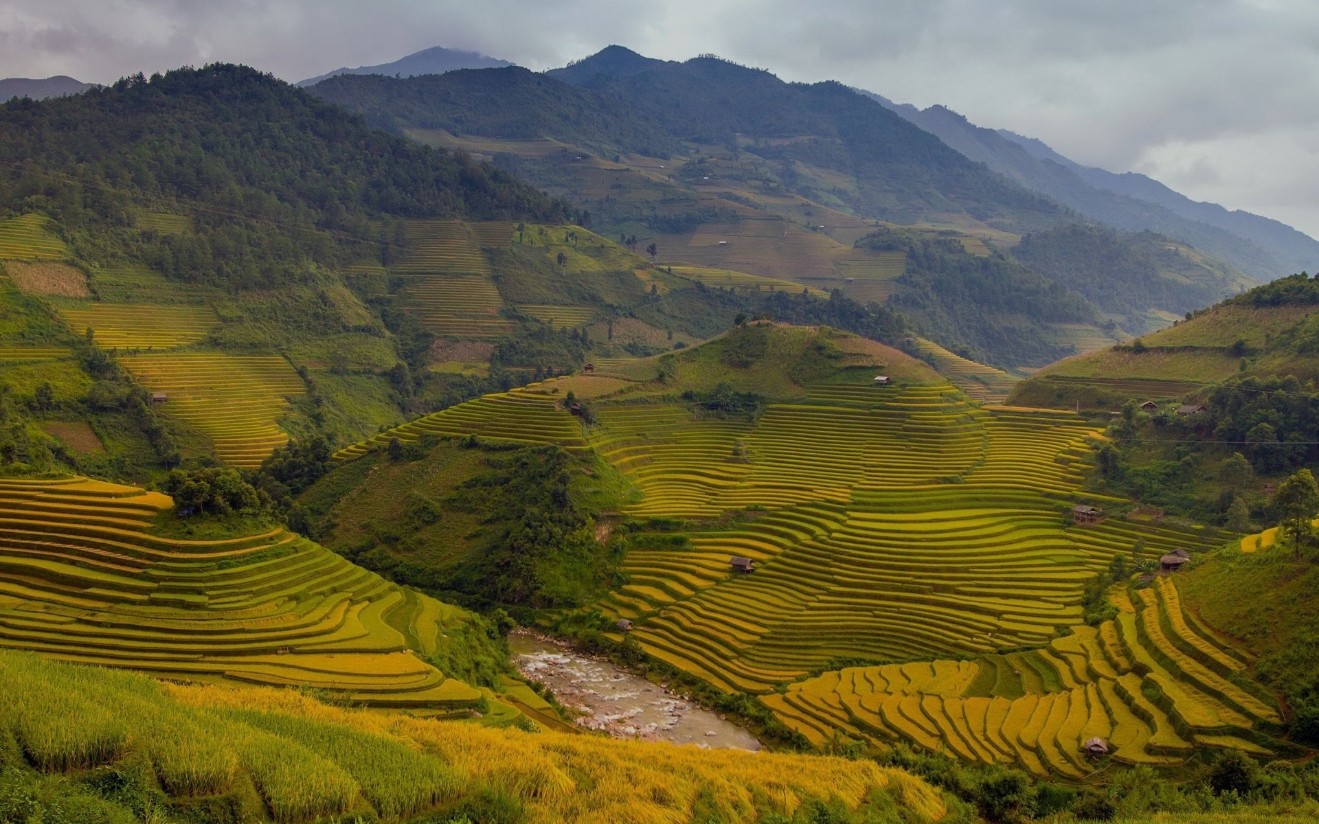 asia cropland valley agriculture landscape travel outdoors mountain nature hill countryside tree daylight sky