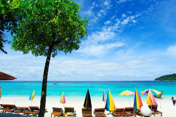 Tropical beach with white sand