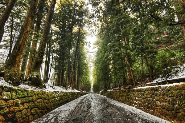 Schmutzige Straße im Wald