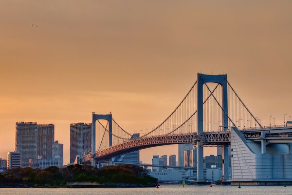 Ponte moderno nella grande città