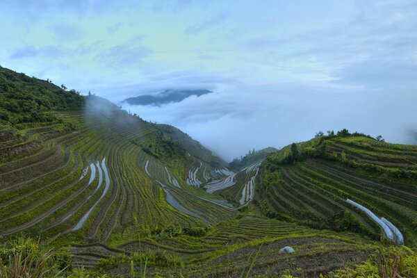 Longsheng arroz Terraza