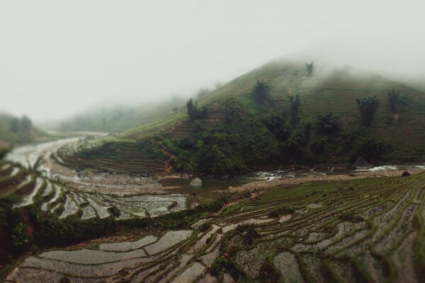 Paisaje asiático mientras viaja